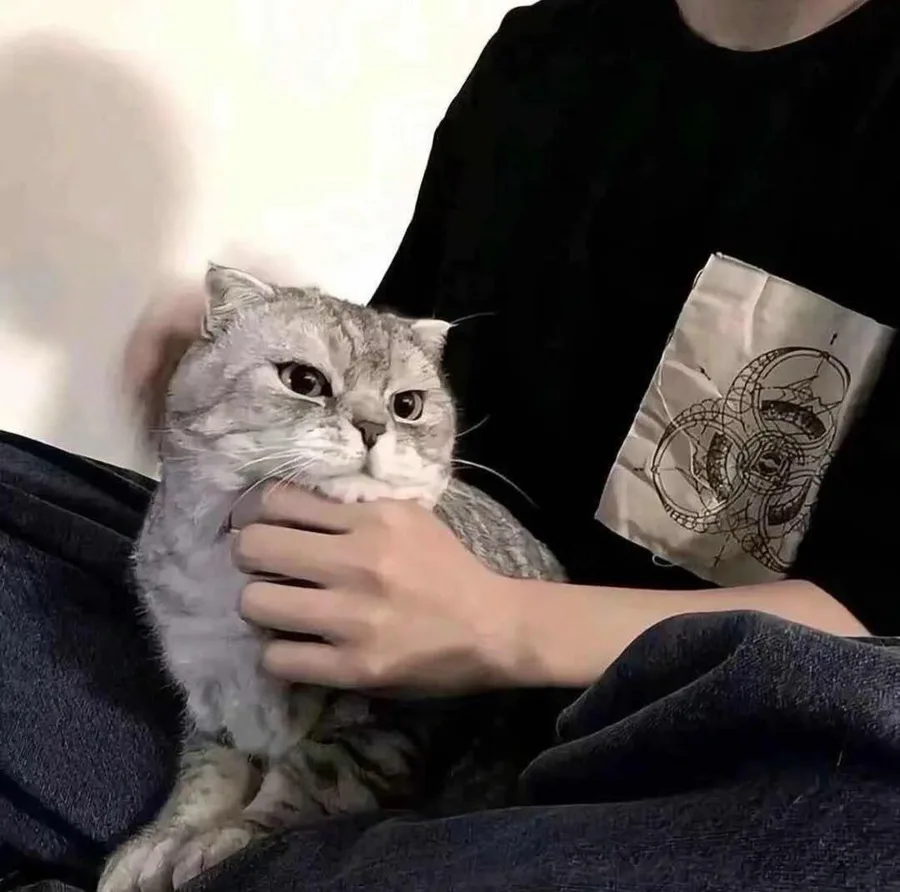 苏铭老师