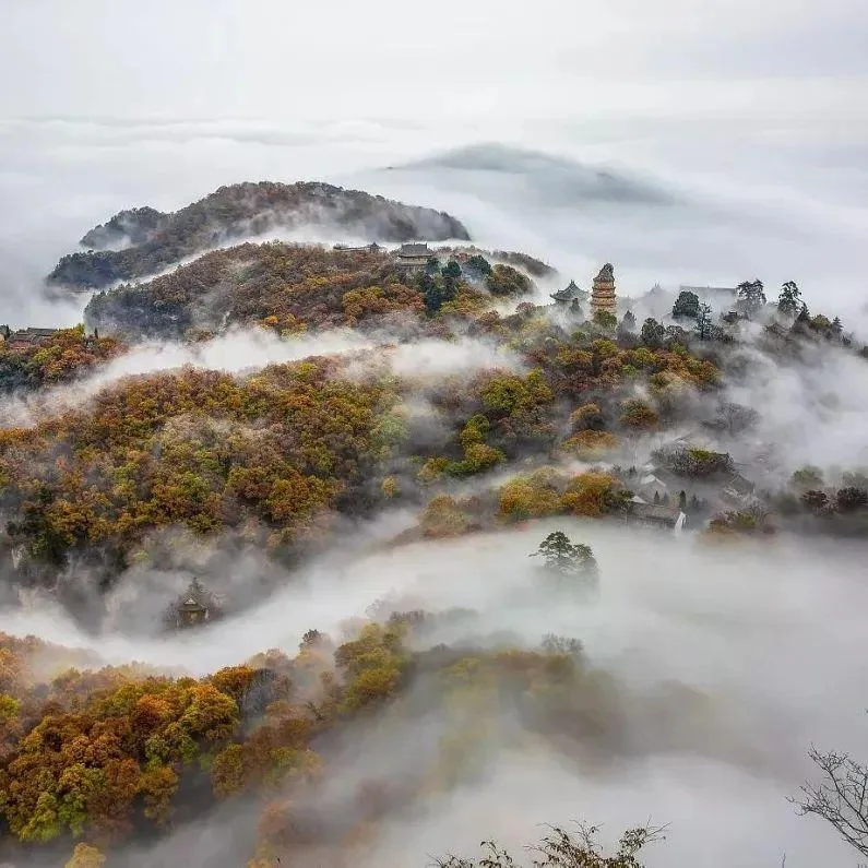 Z老师